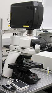 Nikon A1R Confocal System on an upright Ni-E microscope