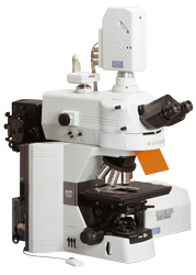 Nikon A1R Confocal Microscope with Laser TIRF Imaging System on a Ti-E Inverted Microscope